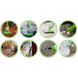 Швабра паровая 5 в 1 пароочиститель электрошвабра универсальная H2O Steam Cleaner Mop X5 Зеленая 1859823199 фото 4